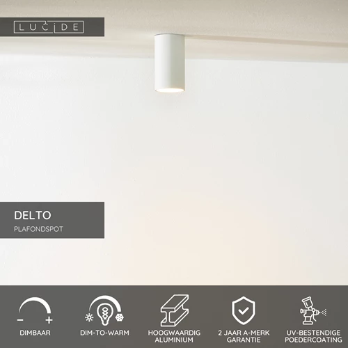 Lucide DELTO - Plafondspot - Ø 5,5 cm - LED Dim to warm - GU10 - 1x5W 2200K/3000K - Wit - USP